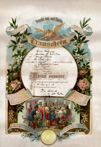 00916_op_9ae3v3mbe1131