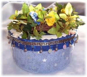 professionalselfbox1